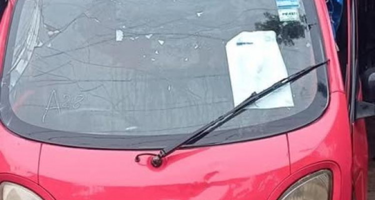 TATA ACE ZIP 2013
