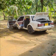 NISSAN BLUEBIRD 1991