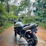 HONDA HORNET 2006