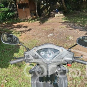 TVS WEGO 2011