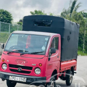 TATA ACE 2011