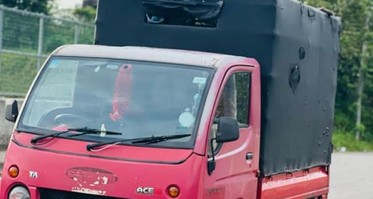 TATA ACE 2011