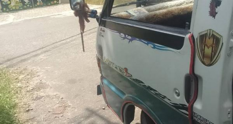 MAZDA BROWNY 1995