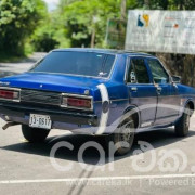 NISSAN SUNNY B310 1979