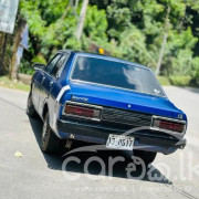 NISSAN SUNNY B310 1979