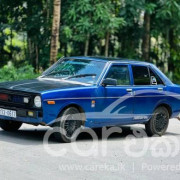 NISSAN SUNNY B310 1979