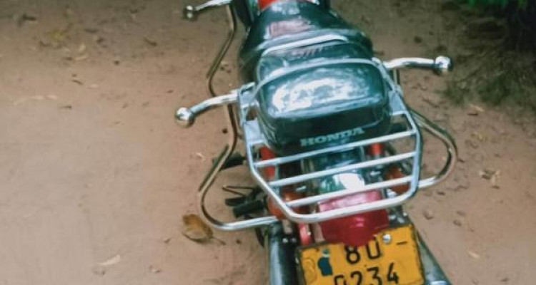 HONDA BENLY 1980