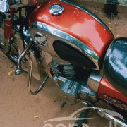 HONDA BENLY 1980