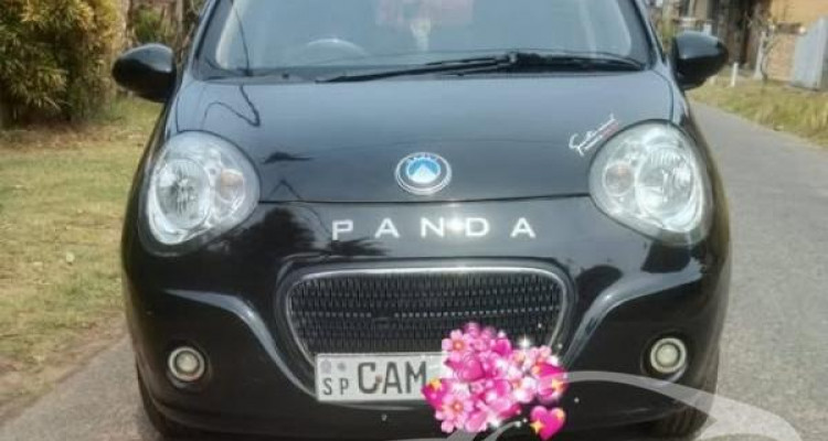 MICRO PANDA 2015
