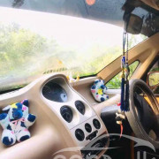 TATA NANO 2012