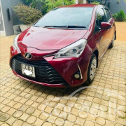 TOYOTA VITZ 2019