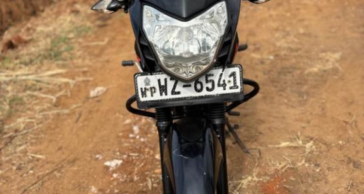 BAJAJ PULSAR 135 2011