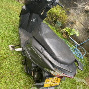 HONDA GRAZIA 2019