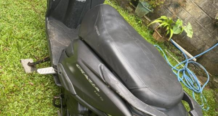 HONDA GRAZIA 2019
