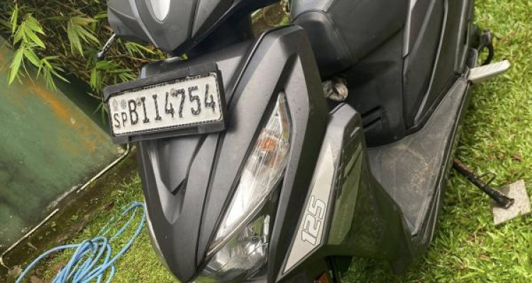 HONDA GRAZIA 2019