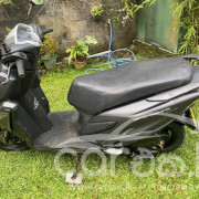HONDA GRAZIA 2019