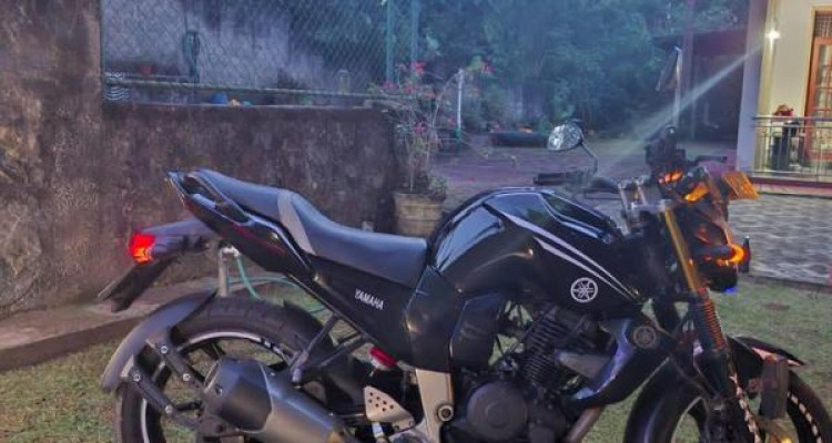 YAMAHA FZ 2010