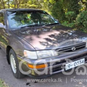 TOYOTA COROLLA EE101 1991