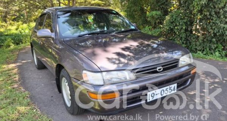 TOYOTA COROLLA EE101 1991