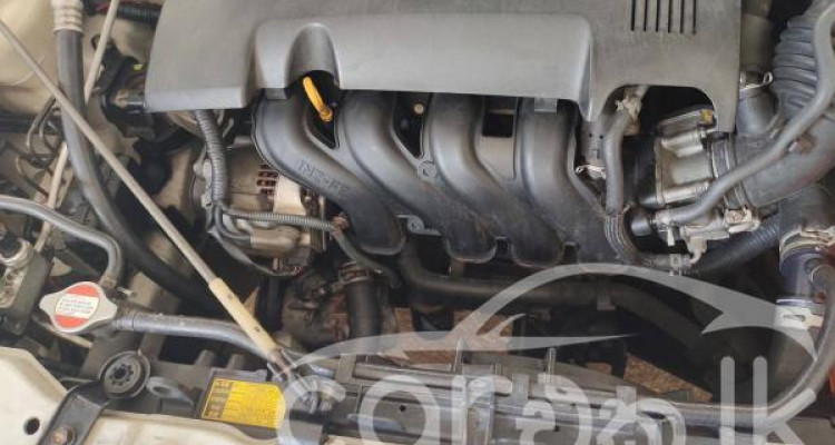 TOYOTA ALLION 260 2009