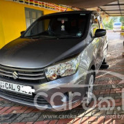 SUZUKI CELERIO 2015