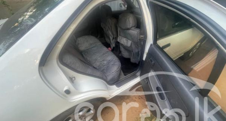 NISSAN SUNNY FB14 1997