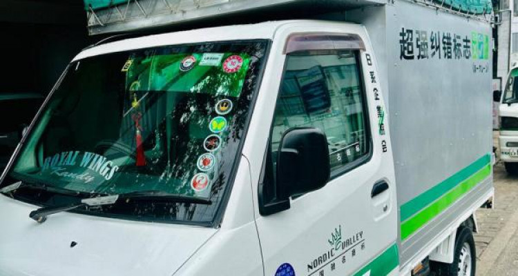 MITSUBISHI MINI MASTER 2002