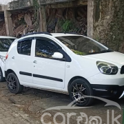 MICRO PANDA CROSS 2012