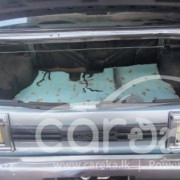 NISSAN SUNNY B310 1979