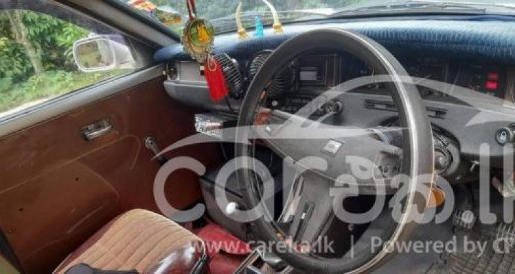 NISSAN SUNNY B211 1981