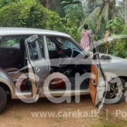 NISSAN SUNNY B211 1981