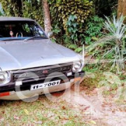 NISSAN SUNNY B211 1981