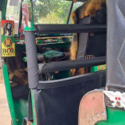 BAJAJ 1988 2 STROKE