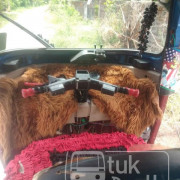 BAJAJ 2016 4 STROKE